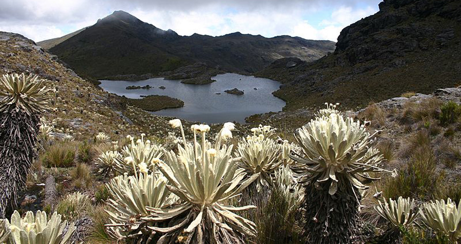 The paramo is a kind of mountain wetlands unique to the northern Andes, provides a major source of drinking water. Paramos are being threatened by global warming and an expanding agricultural. Above, Los Tunjos lake on the Paramo de Sumapaz, south of Bogota, Colombia, March 2006.