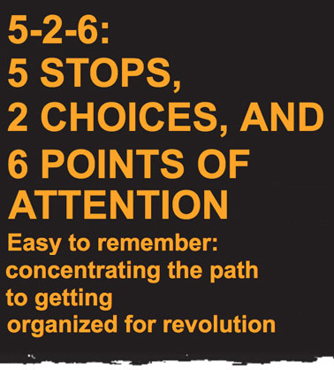 5-2-6: 5 STOPS, 2 CHOICES, AND 6 POINTS OF ATTENTION - Easy to remember: concentrating the path to getting organized for revolution