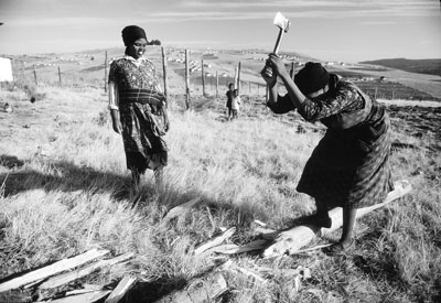 Women in the Transkei region chopping wood, 1982