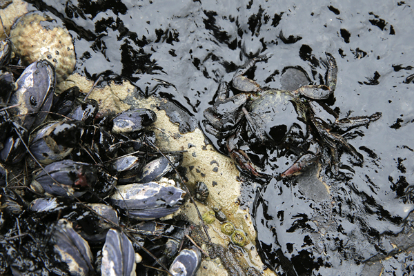 Santa Barbara Oil Spill