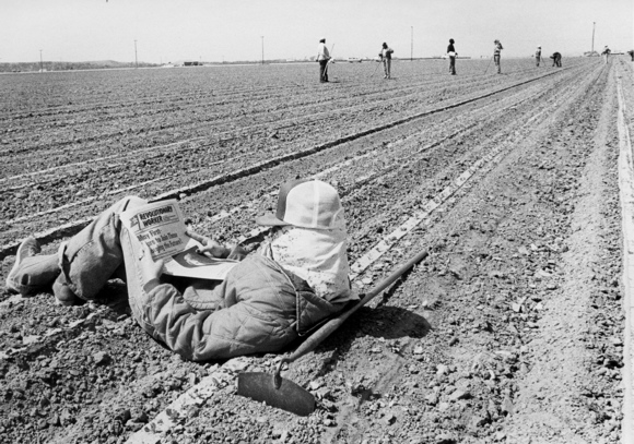 California, 1980