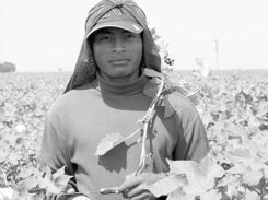 Fresno, California, 2003