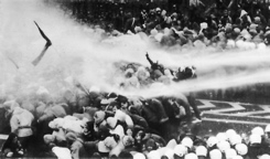 Antiwar demonstration, Bonn, Germany, 1983
