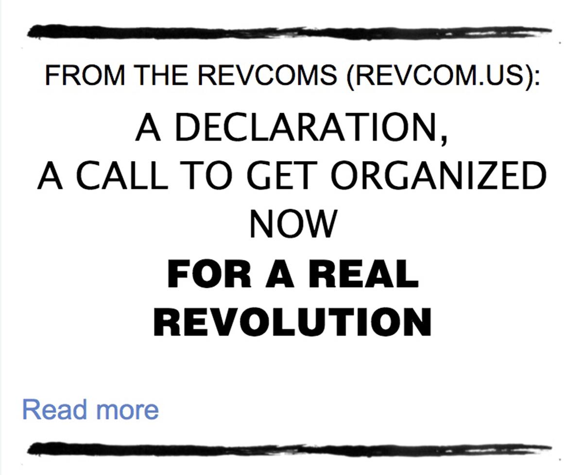 Cover of A Declaration, A Call to Get Organized Now For A Real Revolution