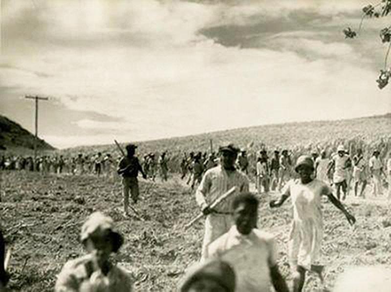 1935, Buckley's Riots: sugarcane cutters organized an island-wide strike against conditions at sugar plantations, St. Kitts, West Indies.