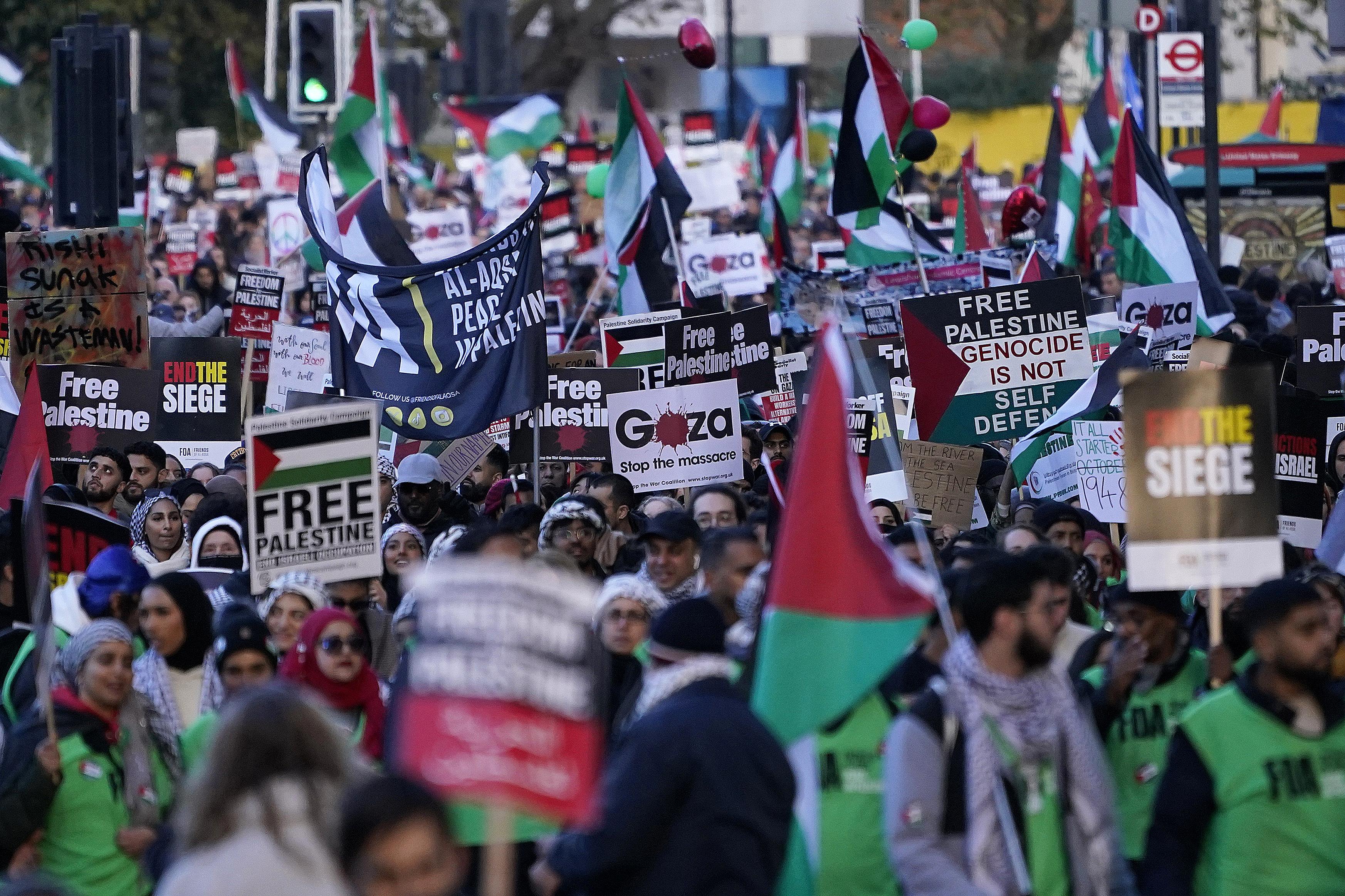 London pro-Palestinian protest, November 11, 2023.