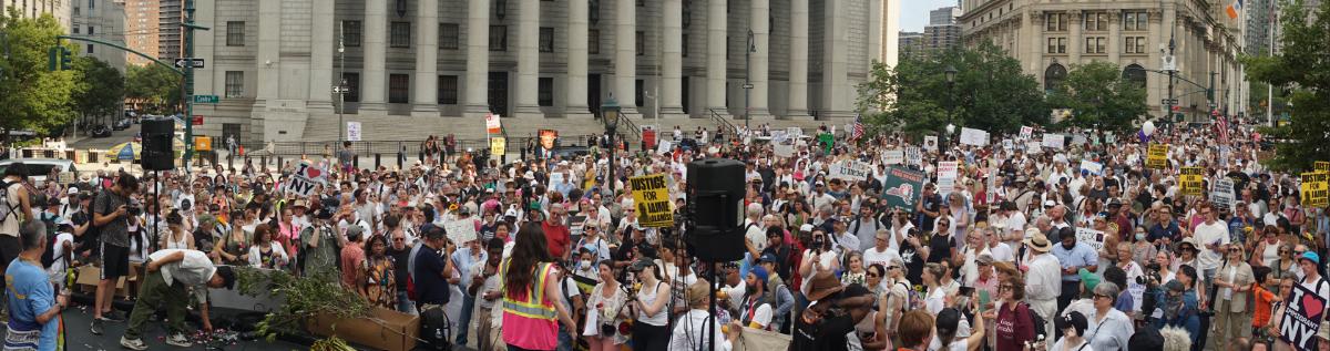 Crowd in New York City for Good Trouble rally and march.