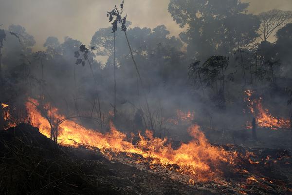 Fire burns in Brazils Jacunda National Forest, part of the Amazon rain forest.