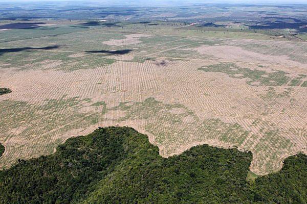 Deforestation of Brazil's Amazon rainforest.