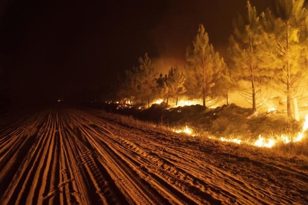 A wildfire in Argentina attributed to the burning of pastures for cattle ranching.