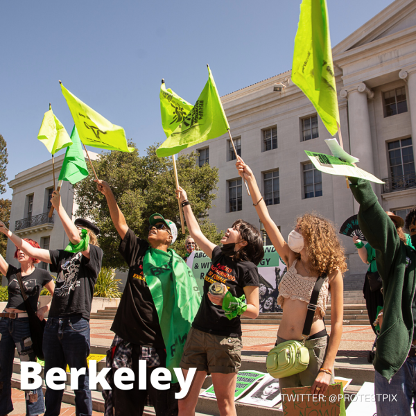 Waving green flags high at Berkeley RiseUp4AbortionRights rally.