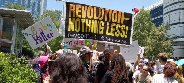 Banner saying Revolution, Nothing Less! at the protest outside the NRA Convention in Houston.