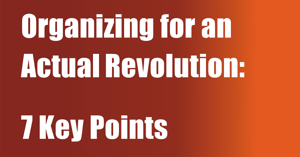 Organizing for an Actual Revolution:  7 Key Points