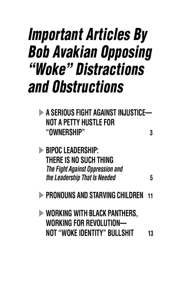 Four articles by BA on wokeness pamphlet