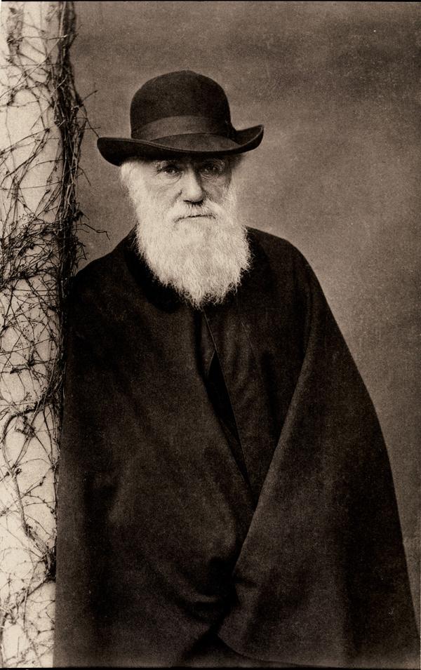 Picture of bearded Charles Darwin, 72.