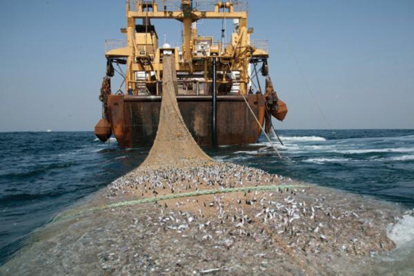 Super trawler with attached net