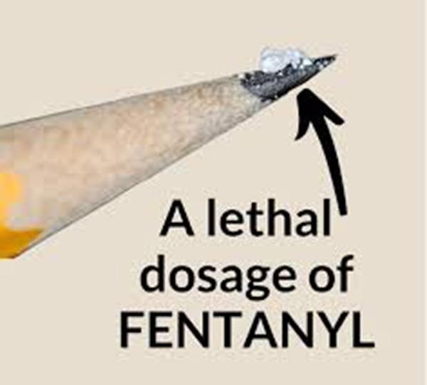 A few crystals on a pencil tip signifying amount that is a lethal dose of fentanyl.