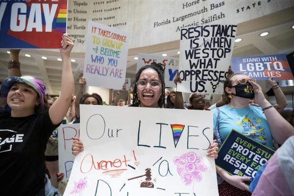 LGBT rights protesters in the Florida State Capitol