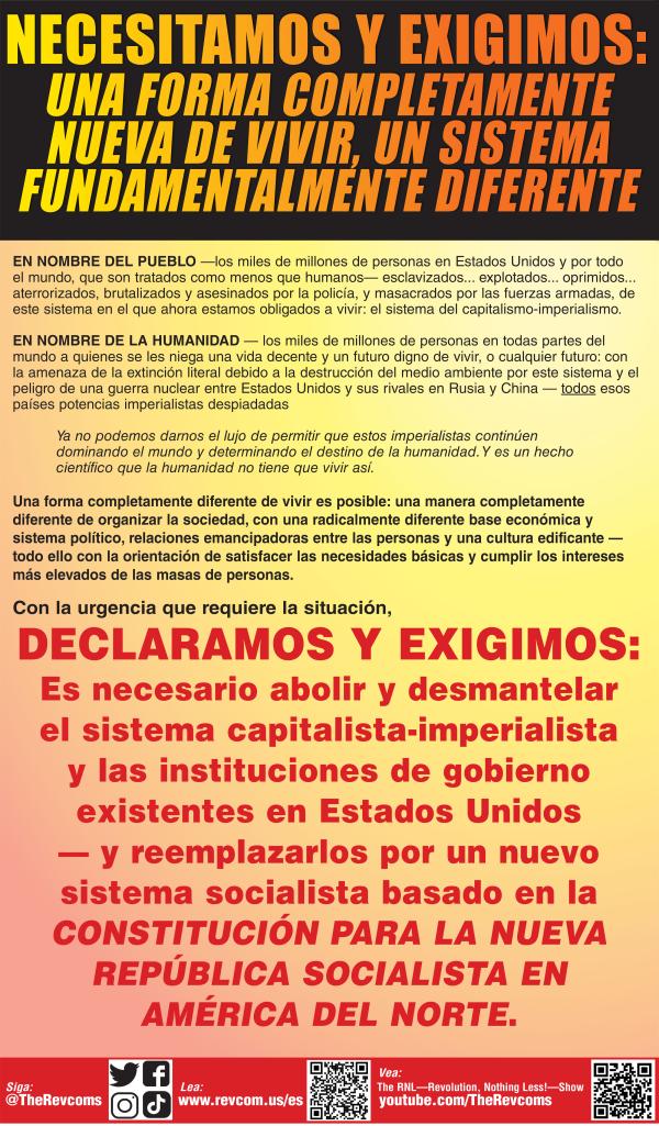 Declaration: We Need and We Demand poster panel 1 36x60" spanish