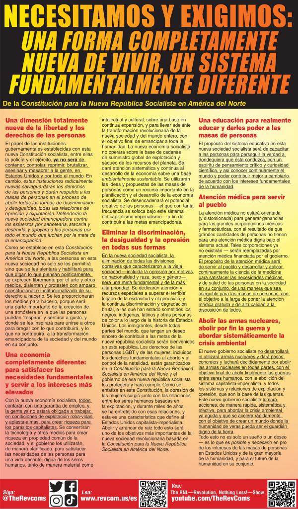 Declaration: We Need and We Demand poster panel 3 36x60" spanish 