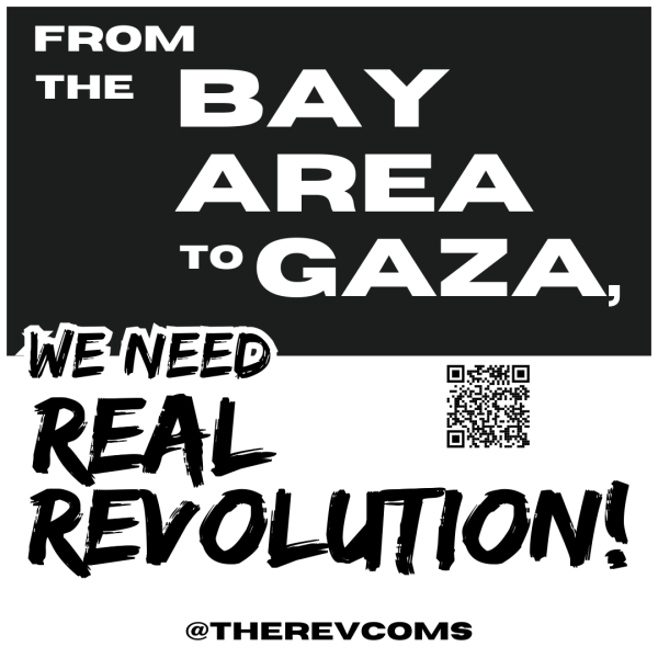 Sticker - From the Bay Area to Gaza We Need Real Revolution