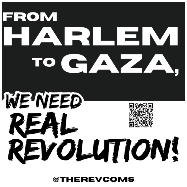 Sticker - From Harlem to Gaza We Need Real Revolution