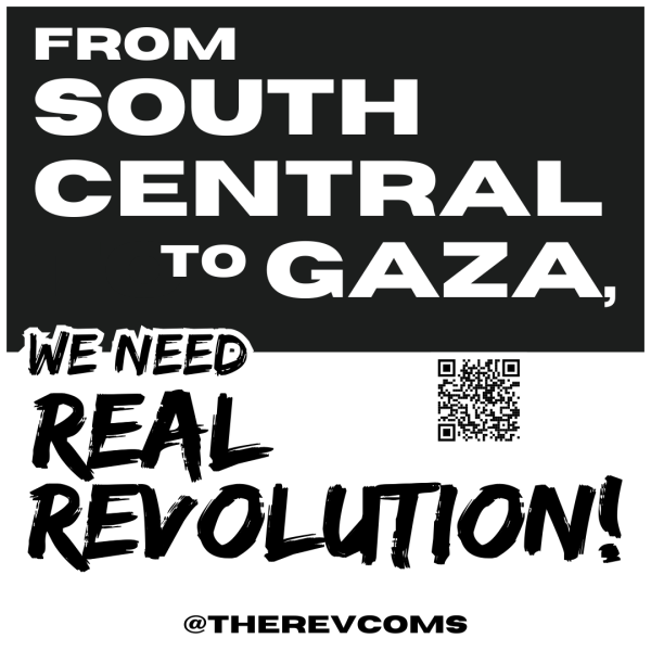 Sticker - From South Central to Gaza We Need Real Revolution