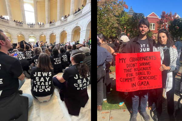 Jewish Voice for Peace sit-in in Capitol, calling for ceasefire in Gaza, and protesters in Washington, DC.