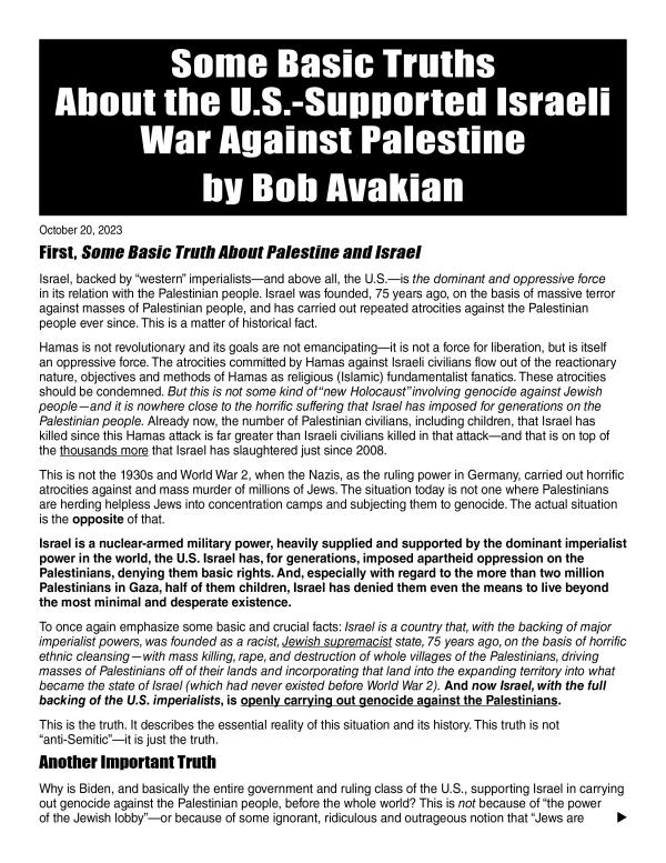leaflet some basic truths Israel Palestine