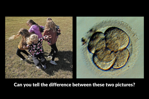 Can you tell the difference between these two pictures? Side by side images: children in a circle; a multi-celled human embryo