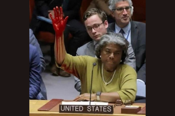Shame on the U.S., the only nation to veto the UN resolution for a ceasefire in Gaza, February 20, 2024.
