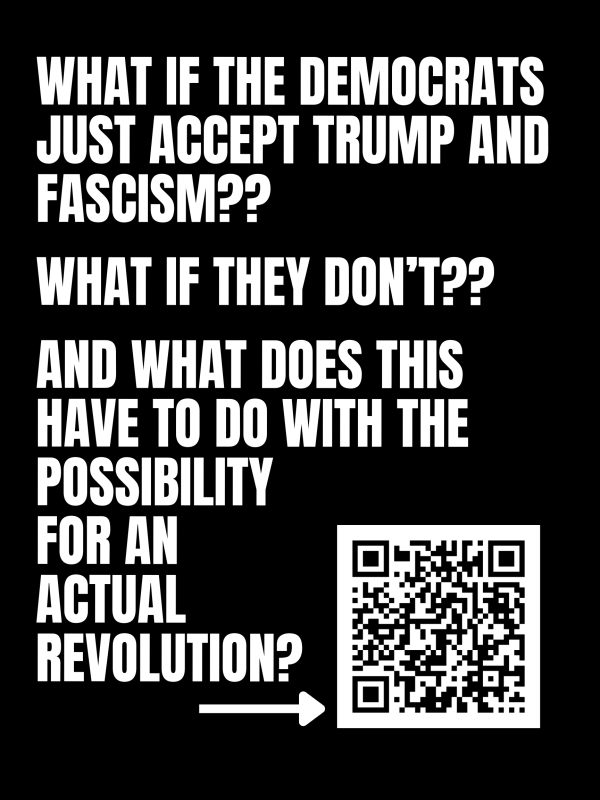 What if the Democrats just accept Trump and Fascism?? What if they don't??