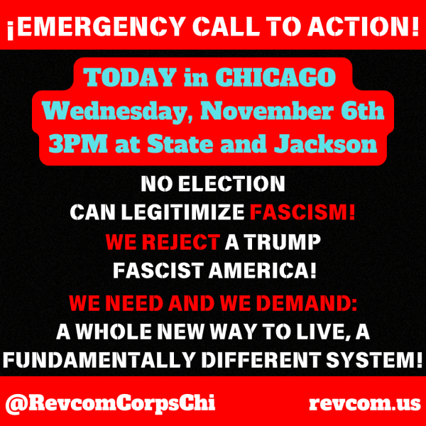 Chicago - Emergency Call to Action