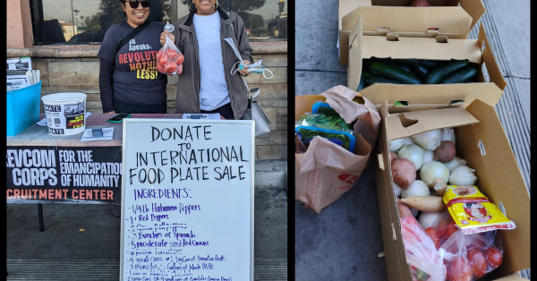 Boxes of donated food; donation table outside a grocery store