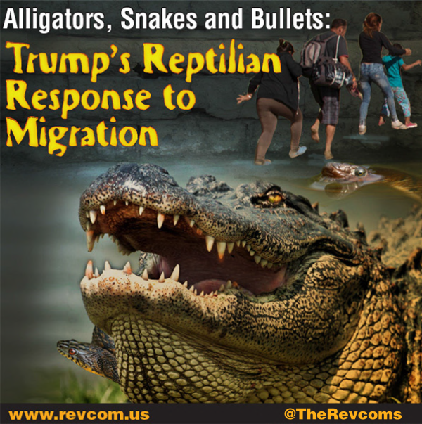 617-Alligators-Snakes-Bullets-en.jpg