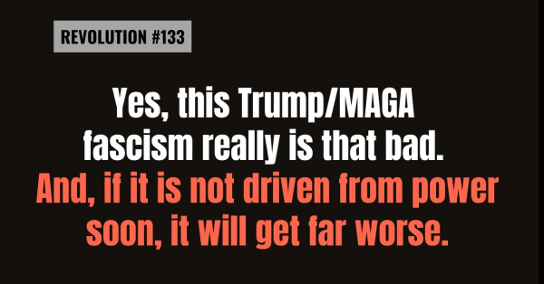 Bob Avakian Revolution #133