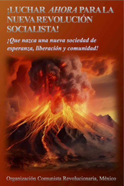 Fight Now for the New Socialist Revolution Cover