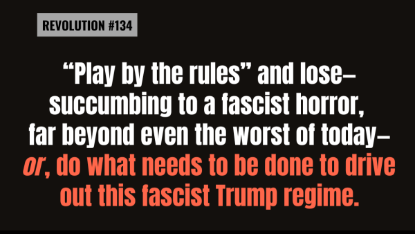 Bob Avakian Revolution #134