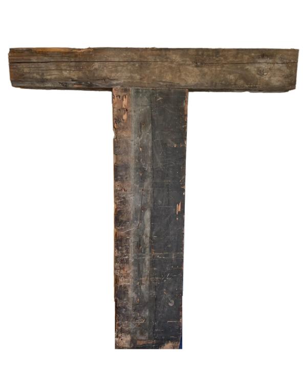 Fall of Freedom: Kris Grey - Capital T