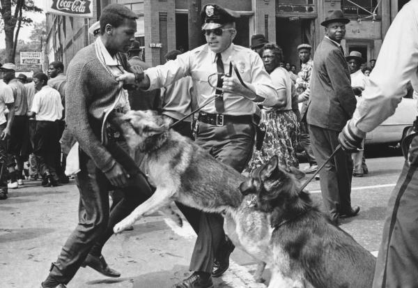 Black civil rights protester attacked by dogs, Birmingham, Alabama, May 3, 1963.
