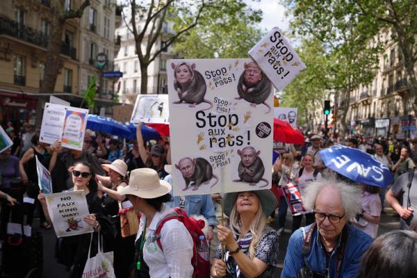 May Day march in Paris with signs that say "No Rats...", May 1, 2026.