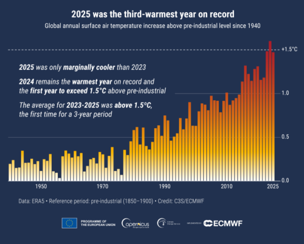 Chart showing 2024 was the warmest year in decades. 