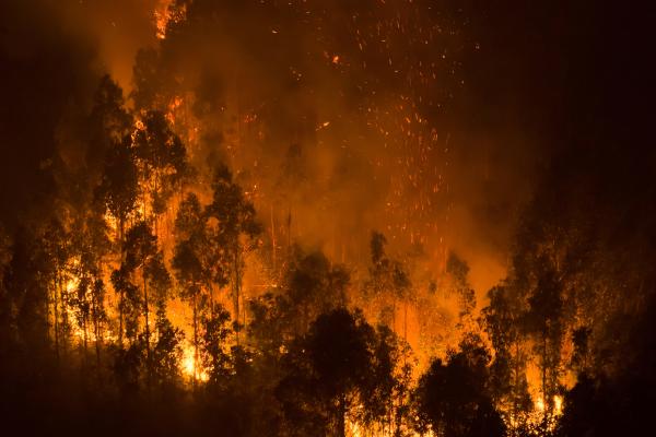 A wildfire burns near Concepcion, Chile, January 19, 2026.