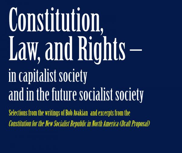 Constitution Law and Rights cover short