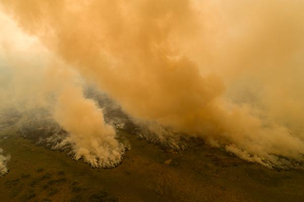 3-Brazil-Pantanal-wildfires-Aug-2020-AP_20270836552483-600px.jpg