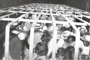 Border Patrol packed Mexican immigrants into trucks, then transported them to the border for deportation, June 1954.
