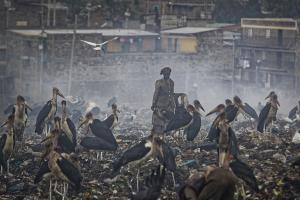 Kenyan woman, surrounded by storks, scavenges burning trash for recyclables in slum of Nairobi, December 2018.