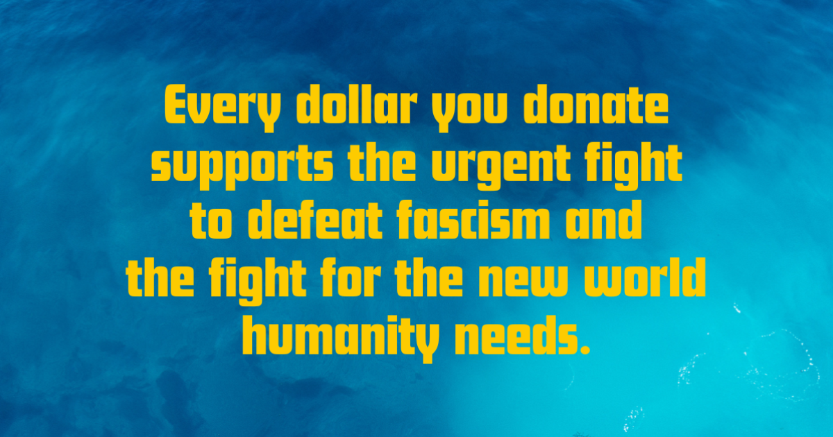 Donate to Support the Efforts of Revcom Volunteers and Revcom Projects ...