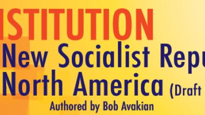 logo for Constitution for the New Socialist State of North America 