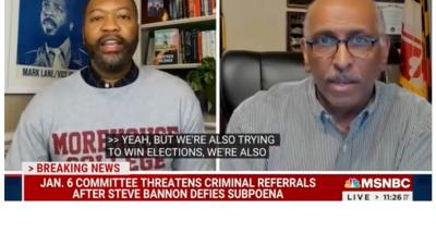 Democratic Party hack on MSNBC says We're also trying to win elections